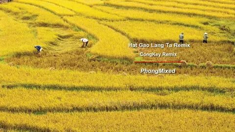 Hotspot Matrix và Lợi Ích Khi Mua Nhà Với Tên Của Mình_Khóa học edit video cho người mới bắt đầu